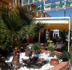 Hotel El Oasis Carchel Exterior photo